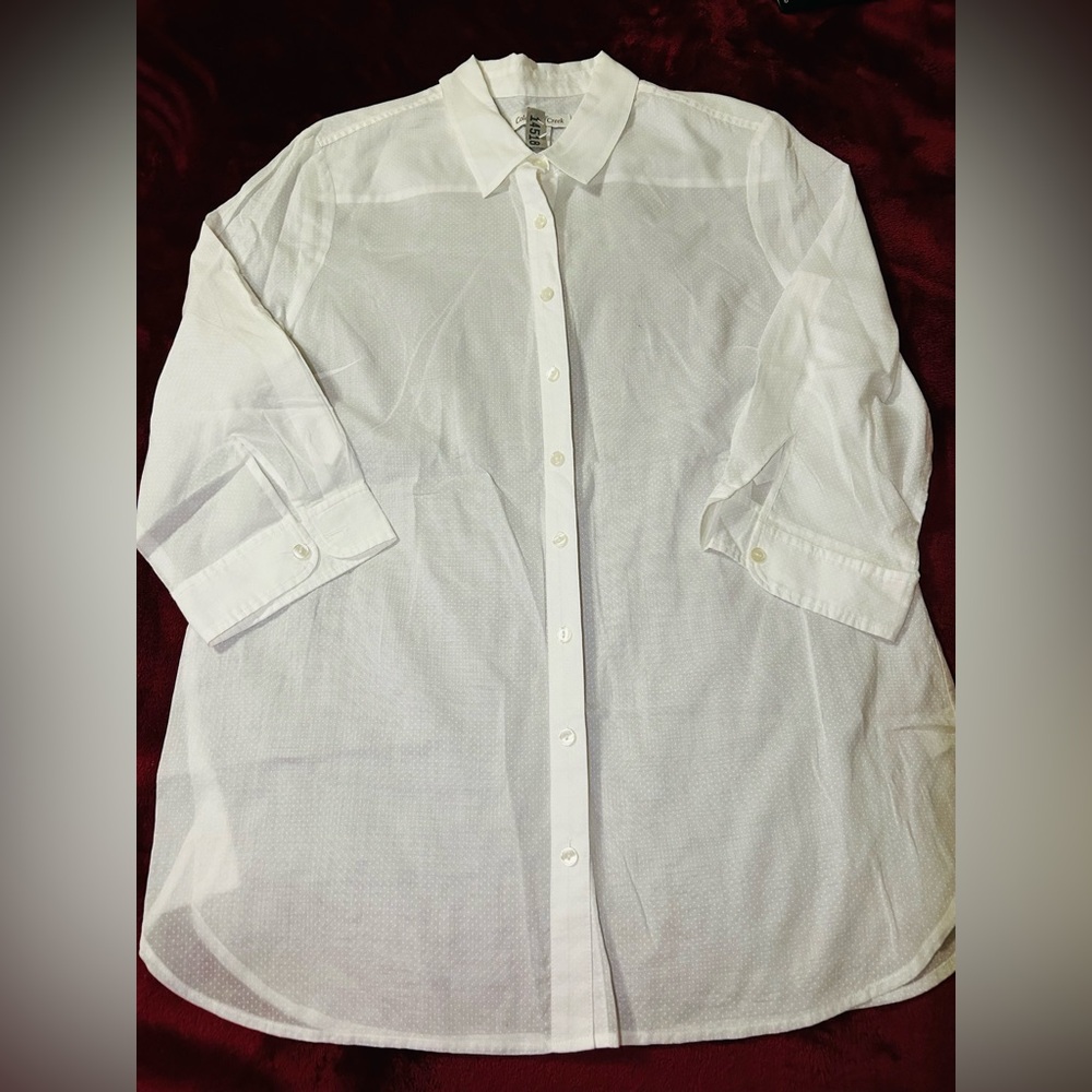 Sheer Polka Dot Ladies Button Down